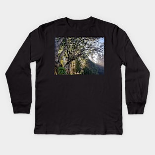 Forest Sunshine Kids Long Sleeve T-Shirt